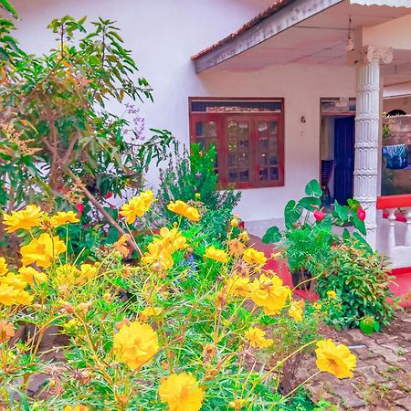 Mirissa White House Otel Dış mekan fotoğraf