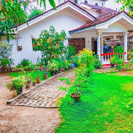 Mirissa White House Otel Dış mekan fotoğraf