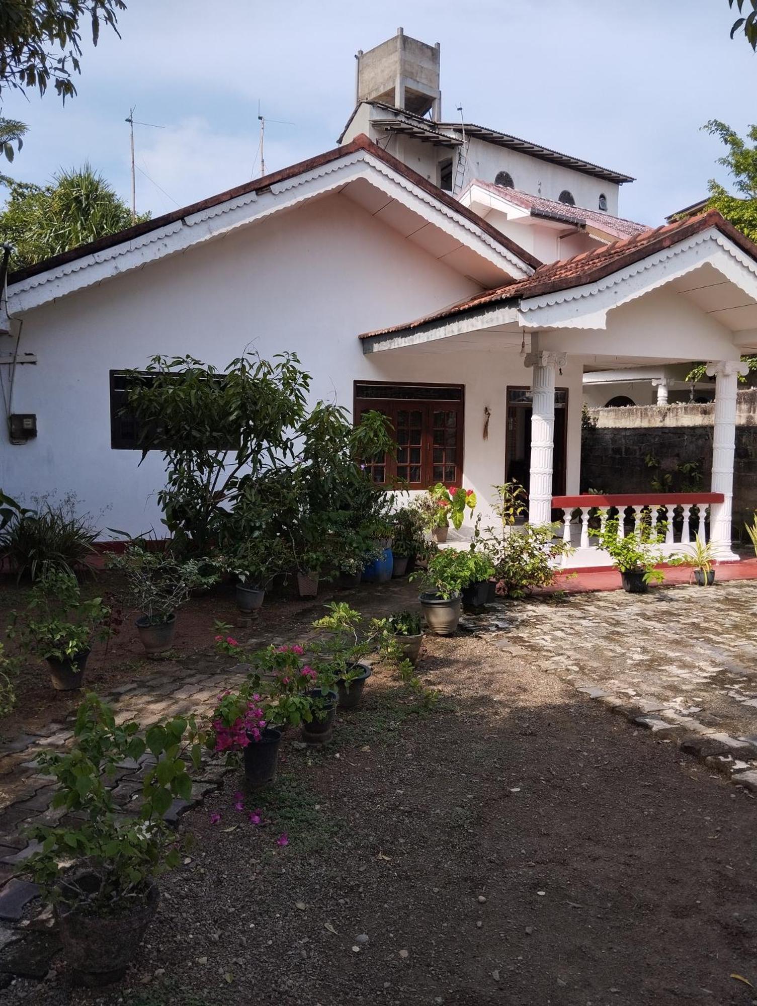 Mirissa White House Otel Dış mekan fotoğraf