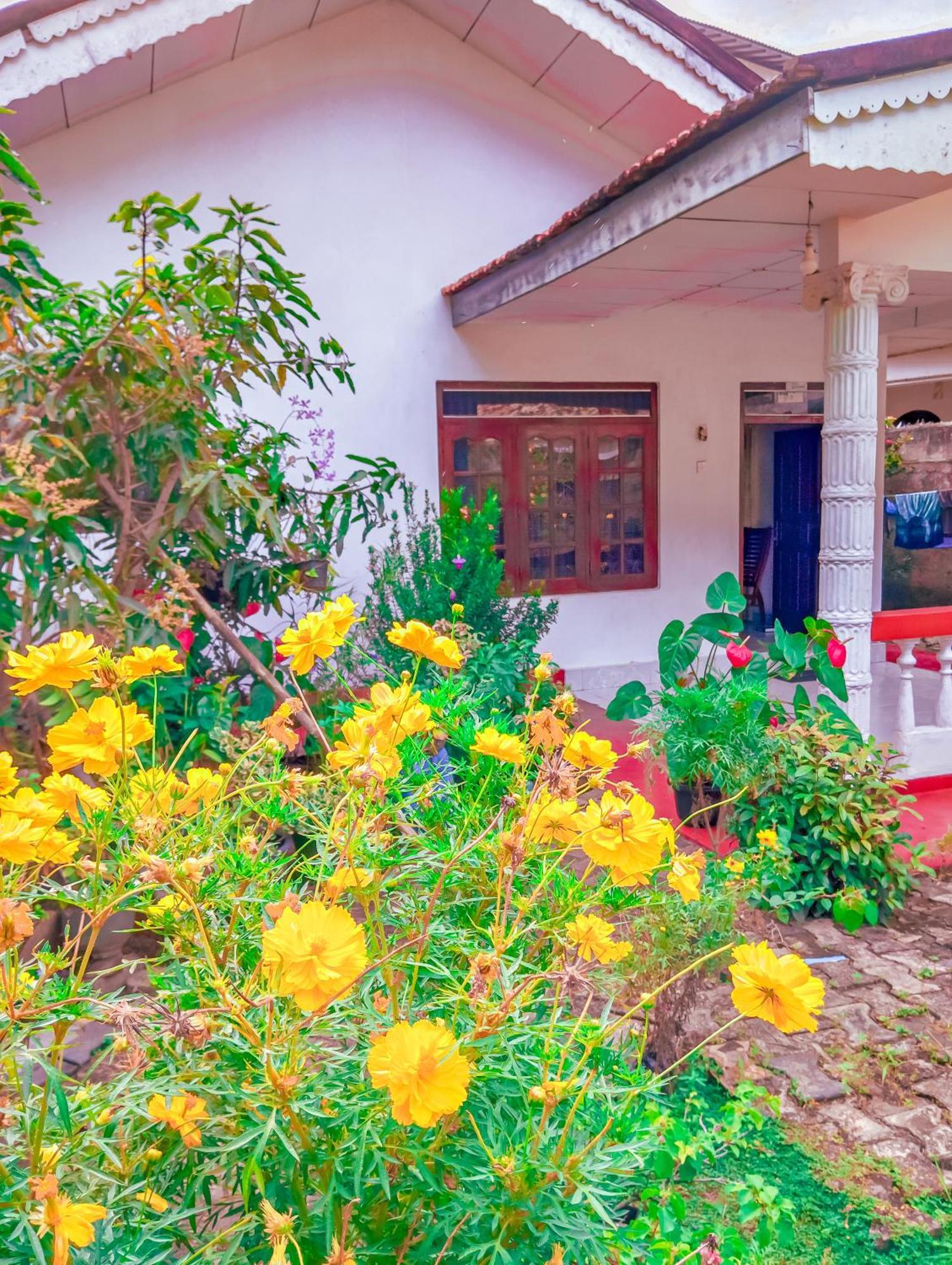 Mirissa White House Otel Dış mekan fotoğraf