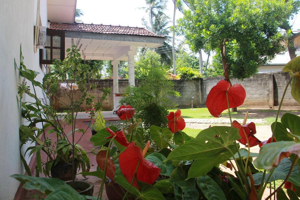 Mirissa White House Otel Dış mekan fotoğraf